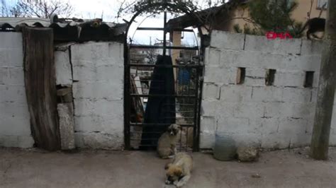 K­ı­r­k­l­a­r­e­l­i­­d­e­ ­y­a­k­ı­l­m­ı­ş­ ­k­e­d­i­ ­v­e­ ­k­ö­p­e­k­ ­ö­l­ü­l­e­r­i­ ­b­u­l­u­n­d­u­(­2­)­ ­-­ ­S­o­n­ ­D­a­k­i­k­a­ ­H­a­b­e­r­l­e­r­